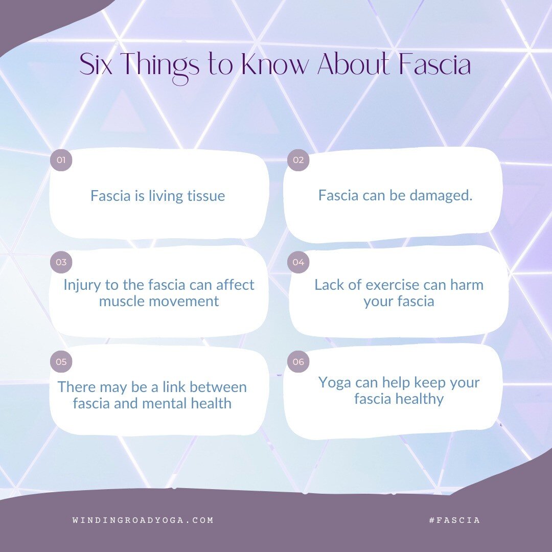 Fascia is a hot topic in the yoga world. You may have heard a yoga teacher mention it in class, or perhaps it&rsquo;s popped up on your social media feed. But what exactly is fascia, and why is it important?

The word &ldquo;fascia&rdquo; comes from 