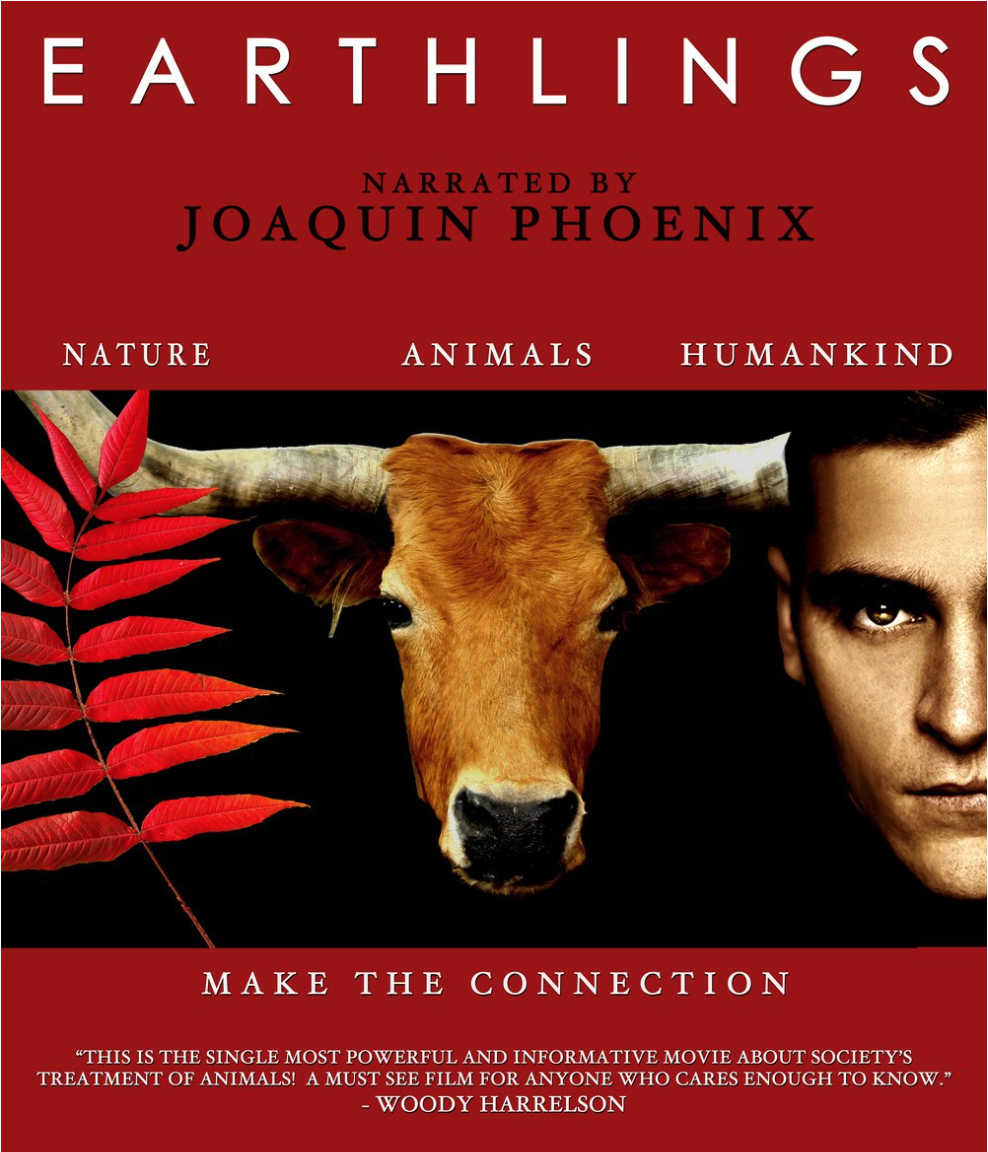 Why You Should Go Vegan This Christmas