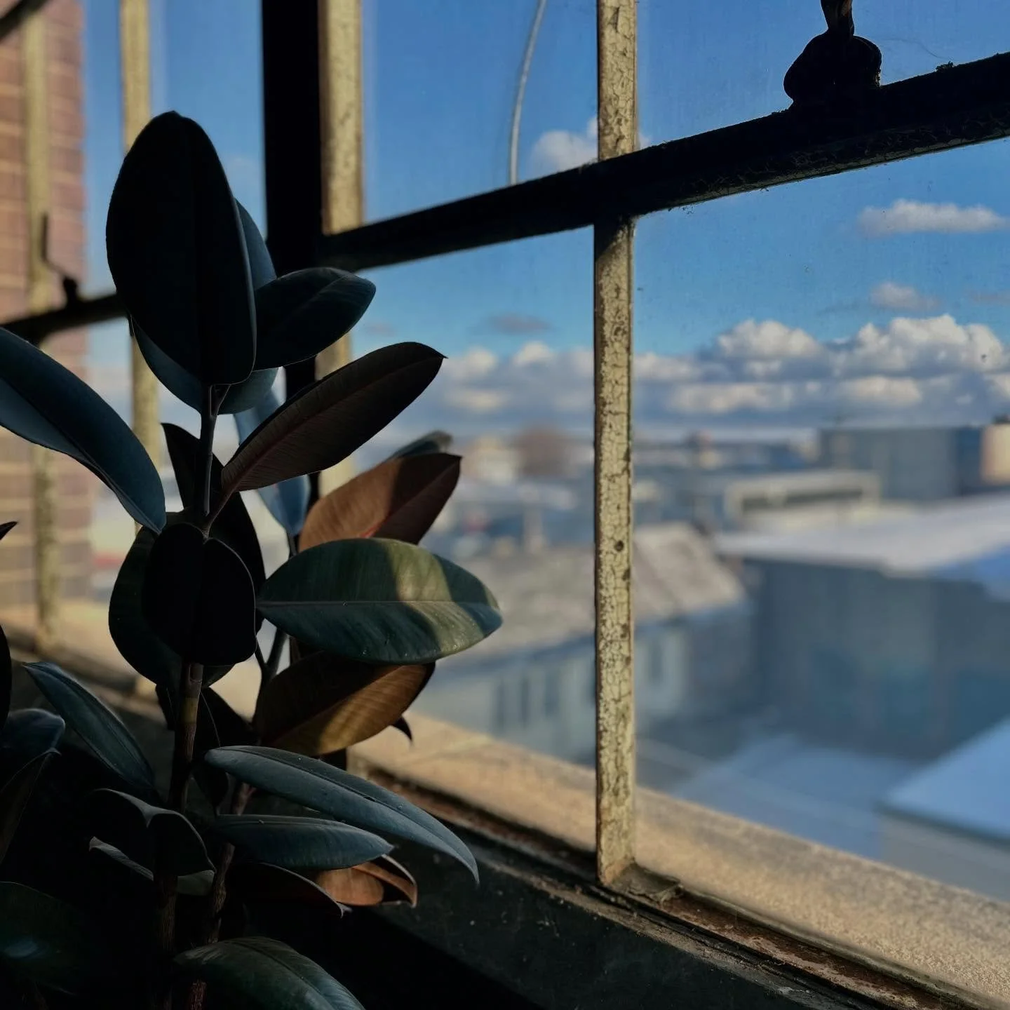 Bundle up Cleveland! It&rsquo;s a cold but beautiful morning out there ❄️ 

Remember to come see us this Saturday, December 6th, from 11:00 - 4:00 for our Holiday Open House!! 

#cleveland #art #shopsmall #supportlocal #pottery #antiques #vintage #ho