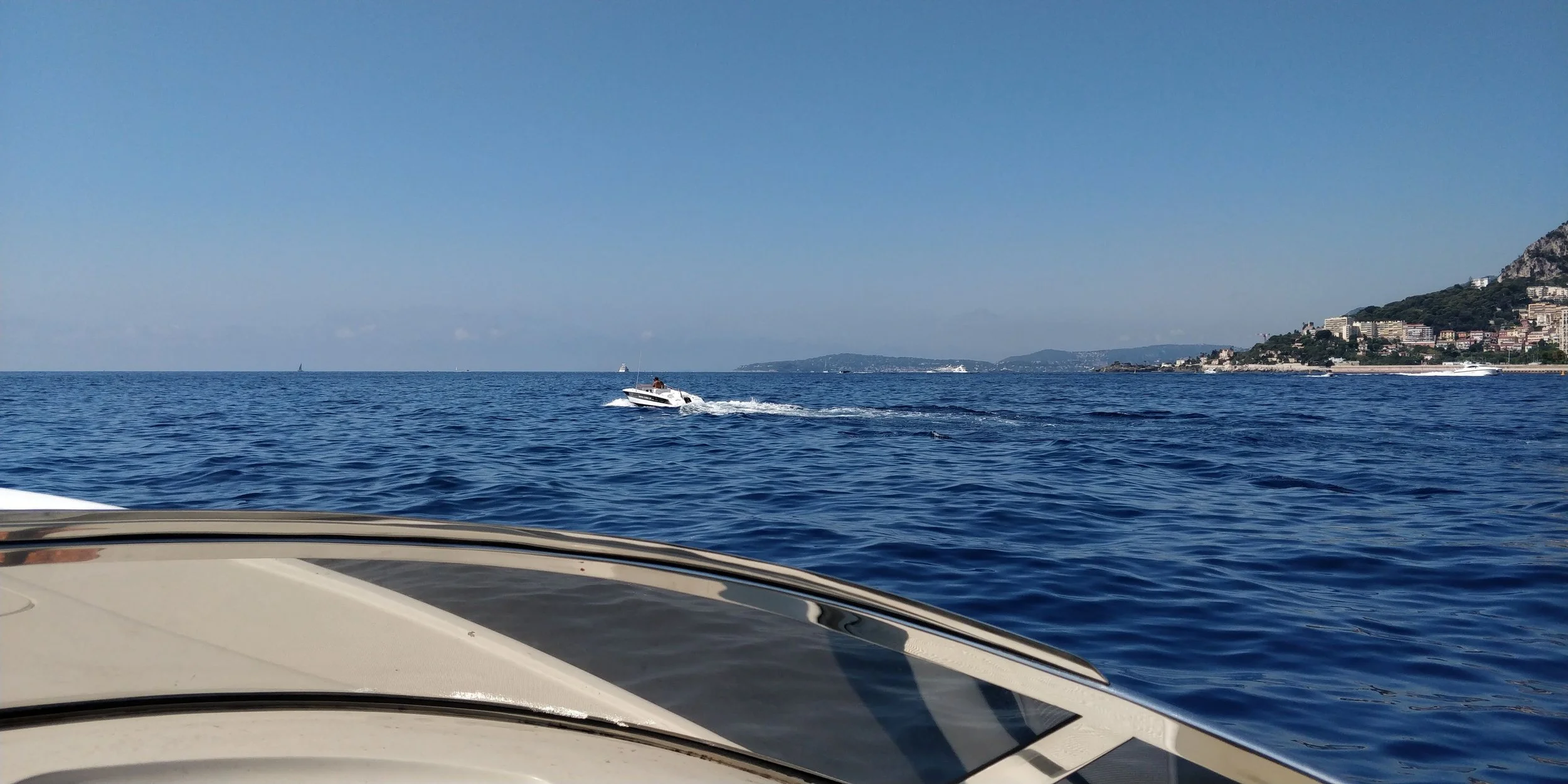 IMG_20210821_114608.jpg