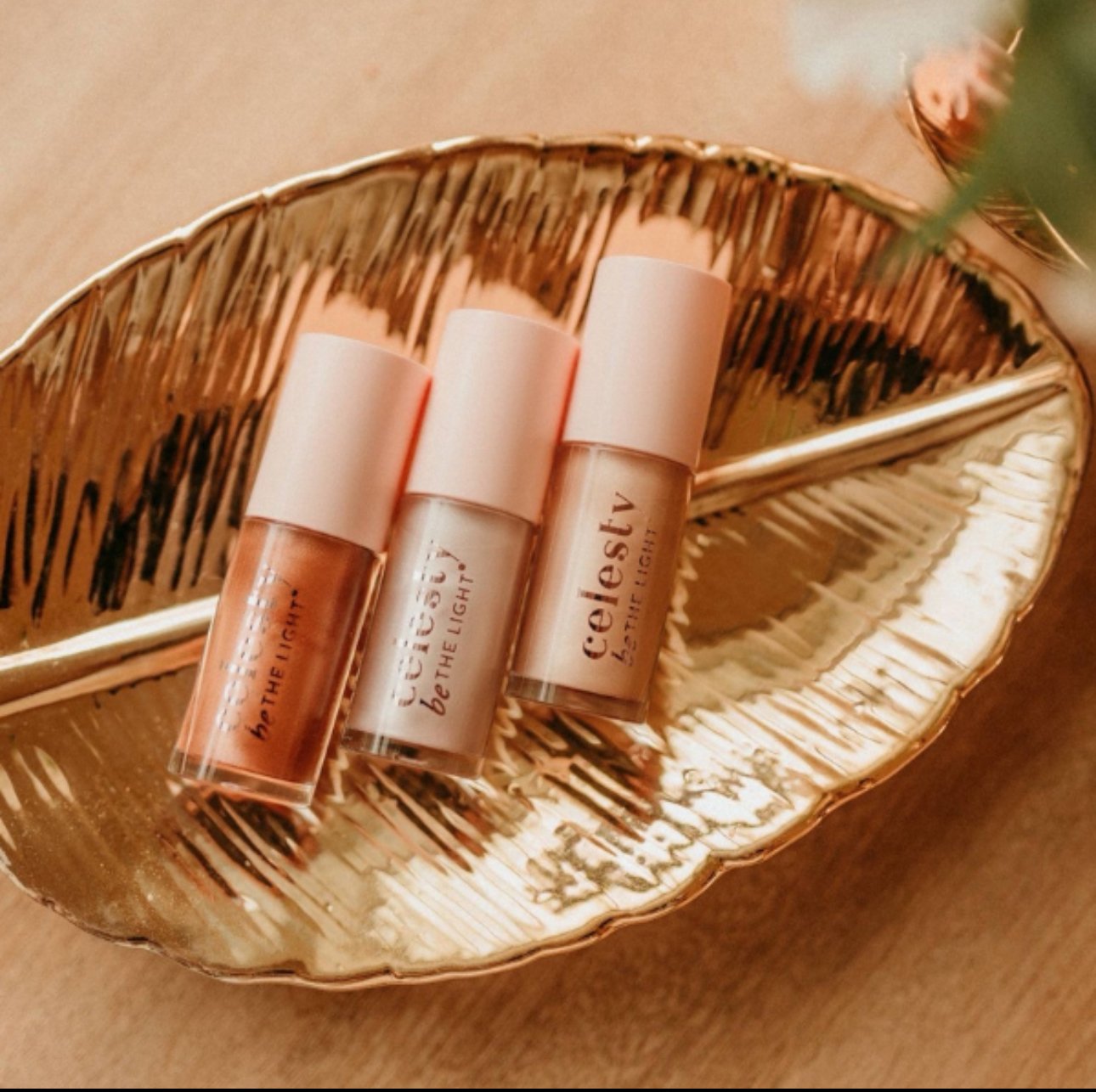 Celesty - Makeup & Skincare