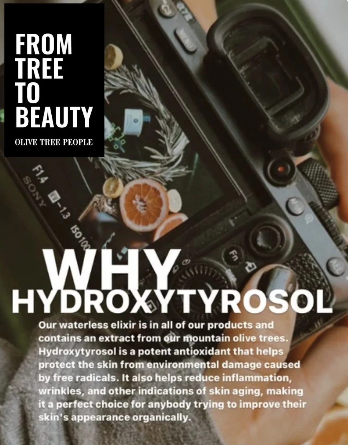 Beauty Glo - The Olive Tree People