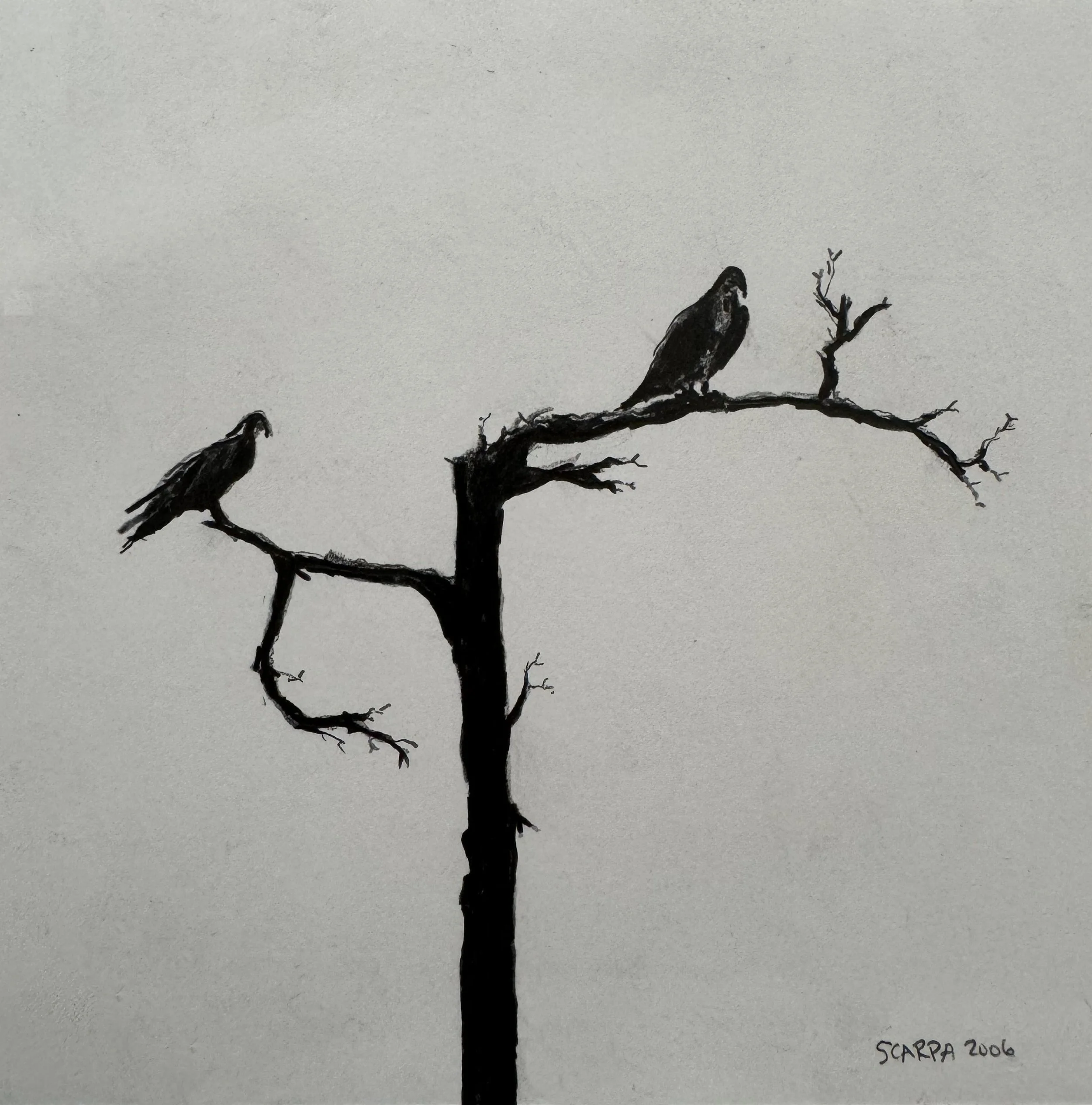 Osprey