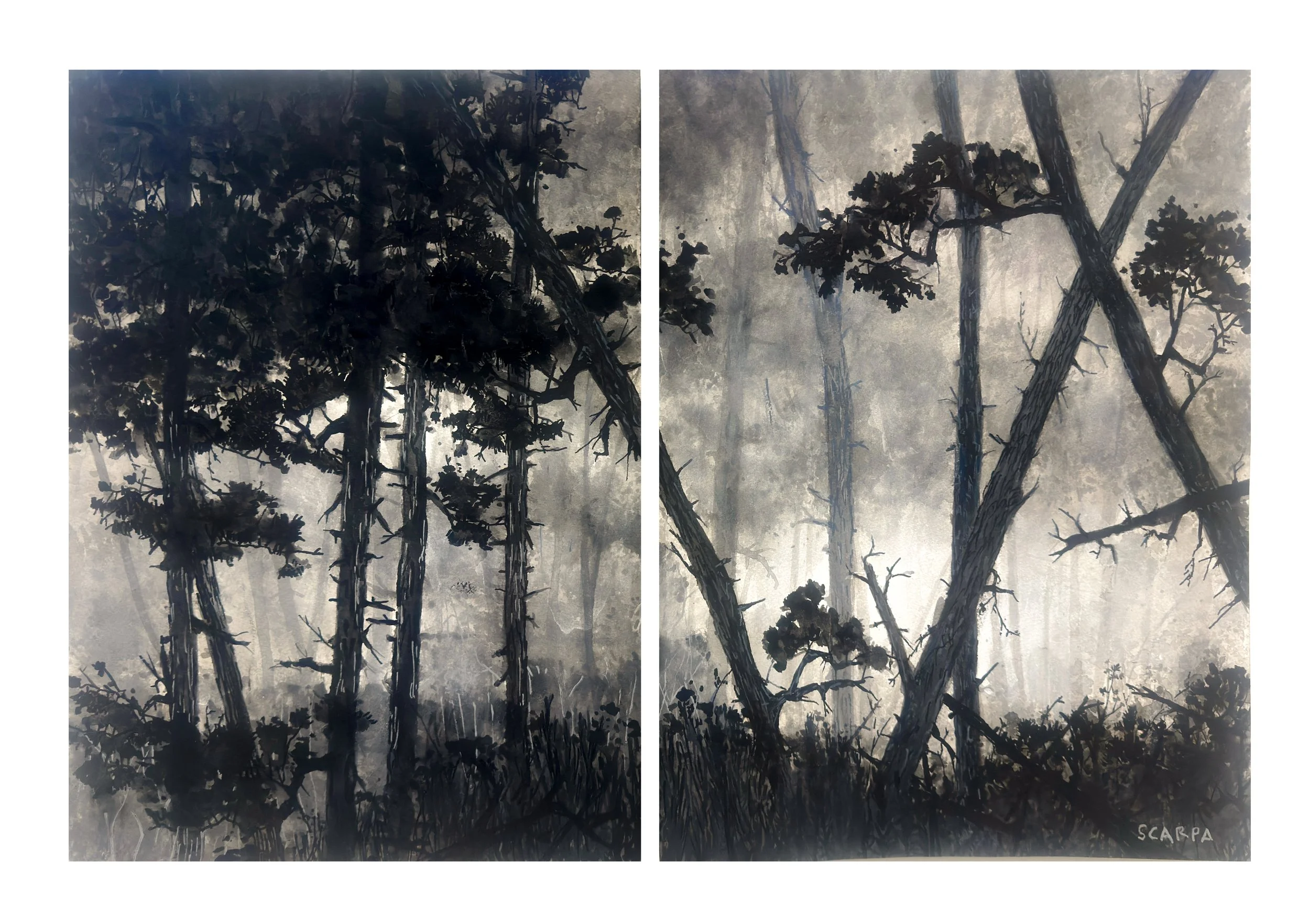 Asilomar 04ab