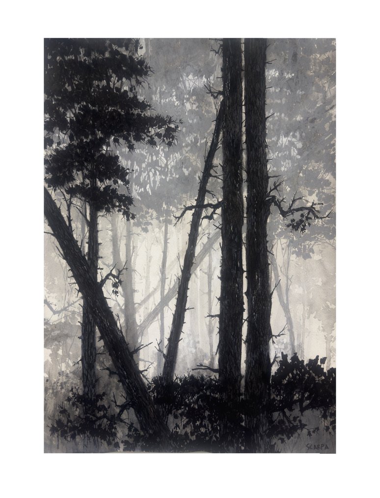 Asilomar03