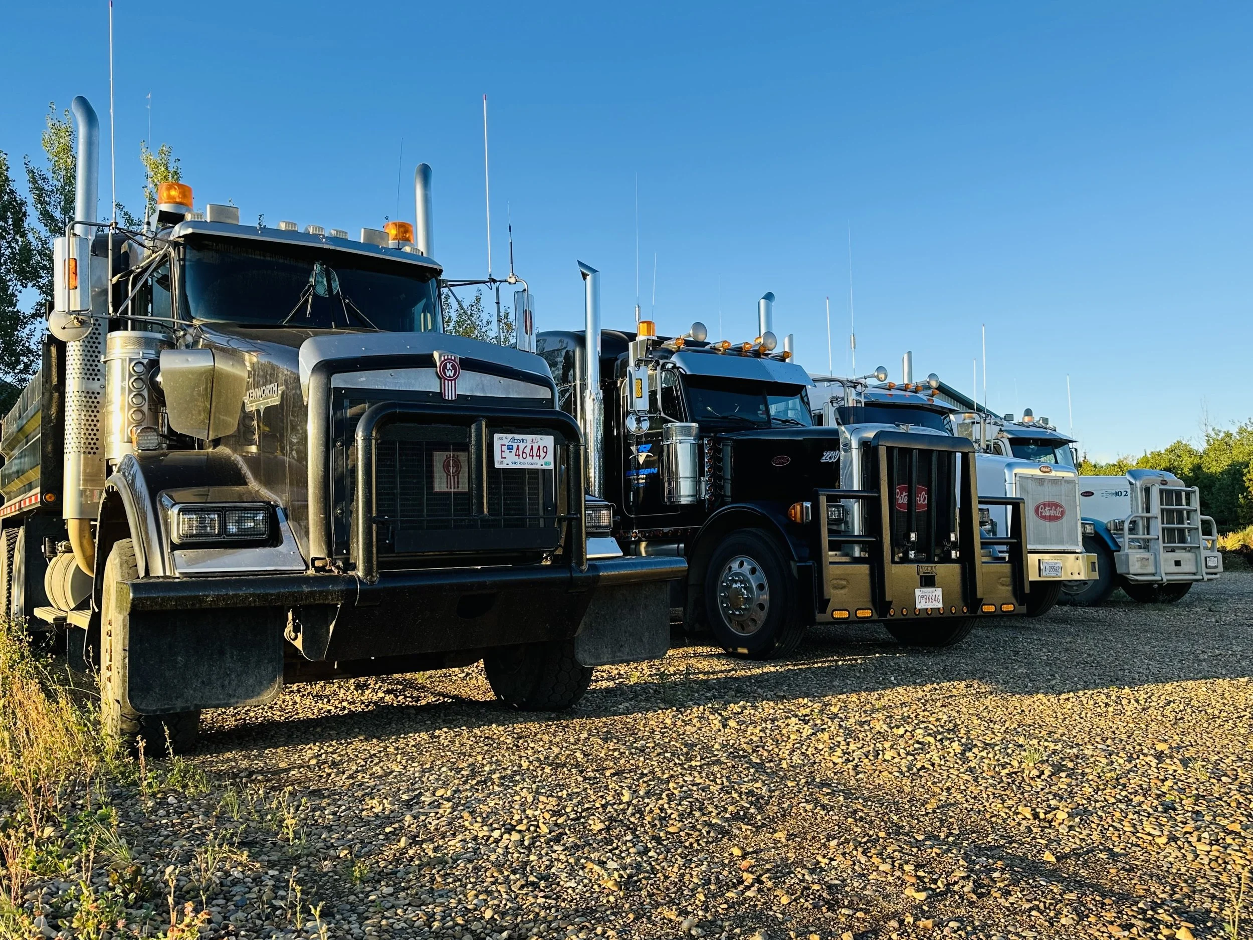 4 trucks in yard 2.jpg