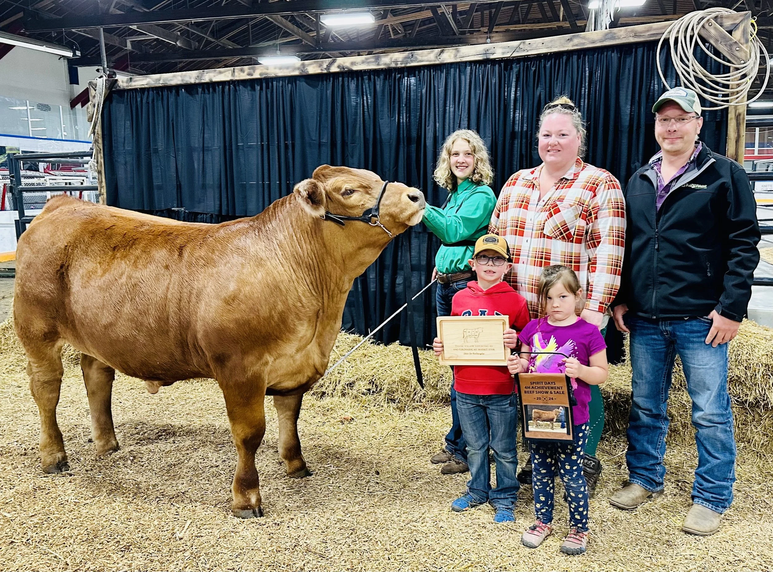 A steer we purchased at the local 4-H sale