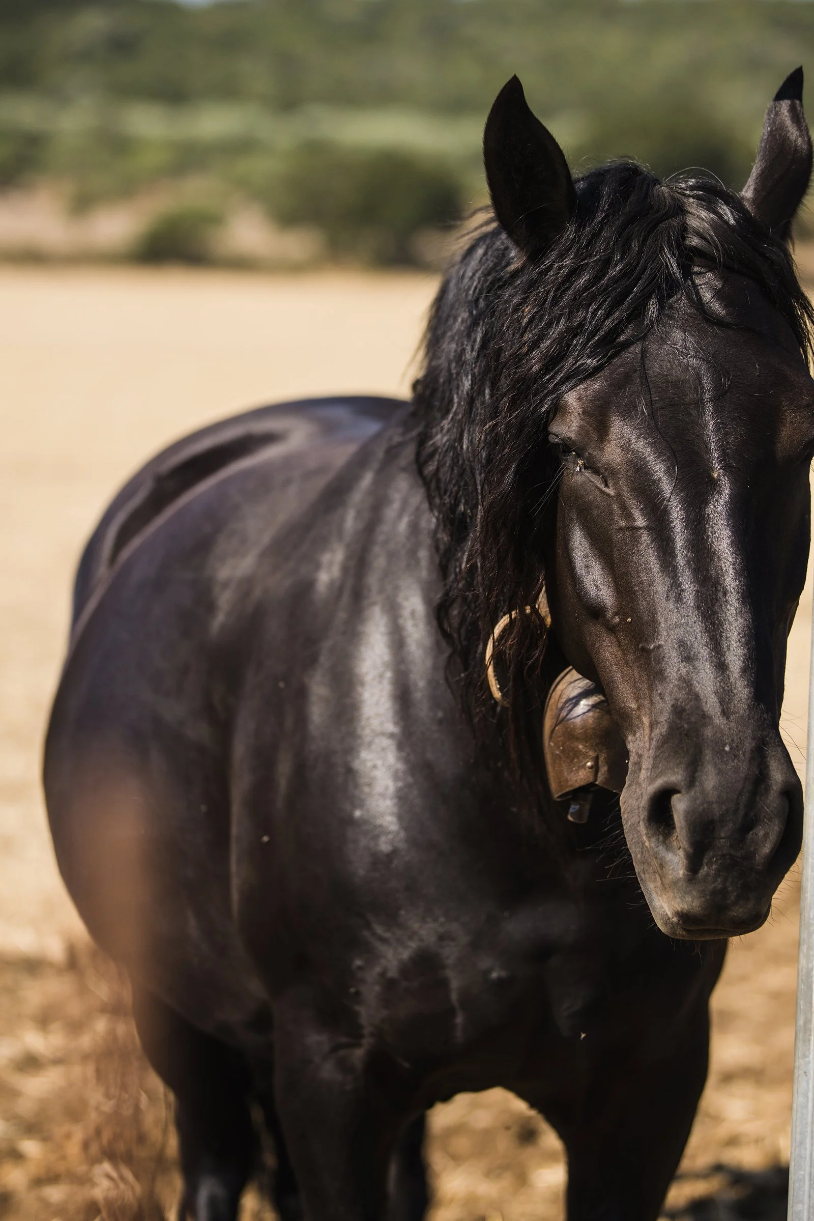 web39.jpg