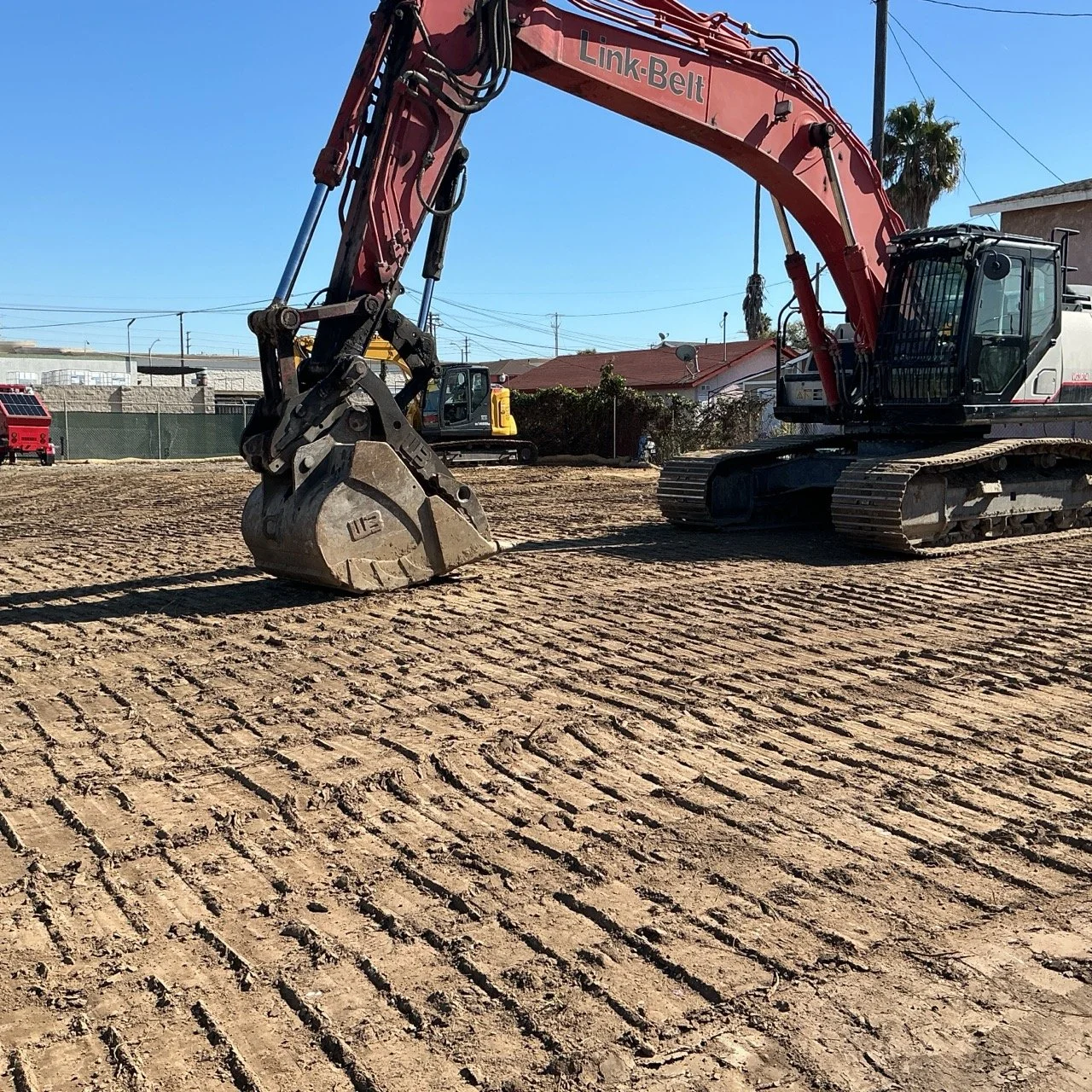 IMG_0392 Large.jpeg