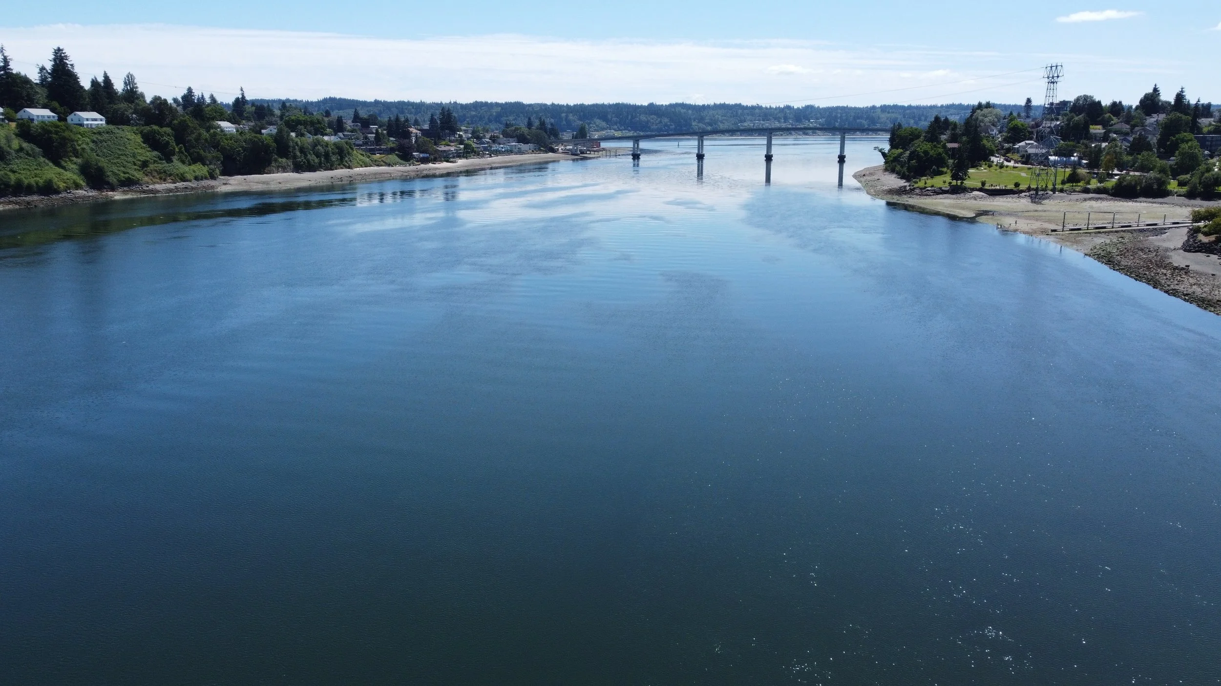 Paratransit Services