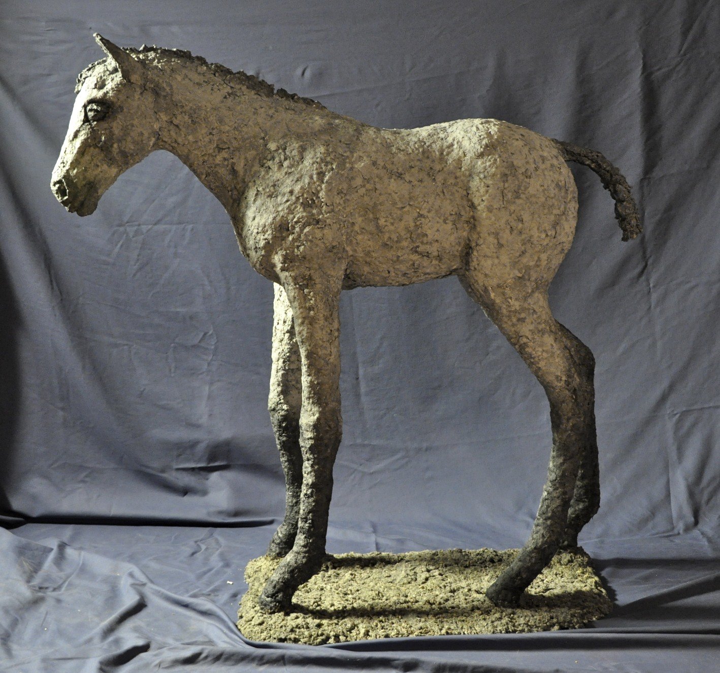 Spring Foal. Life-size Paper Mache. 41x42x12"