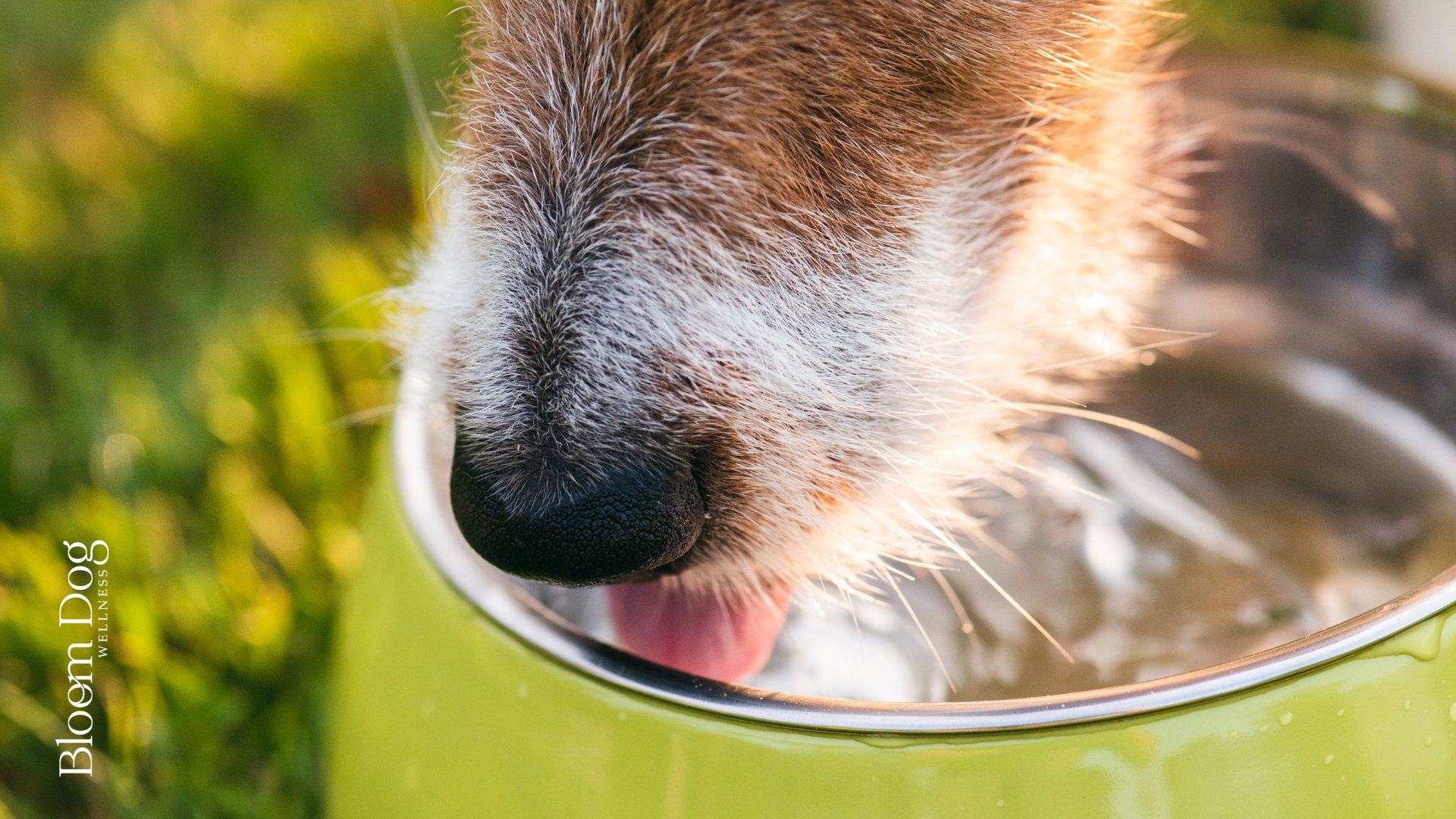 Moisture Matters: One of the Most Overlooked Keys to a Longer, Healthier Life