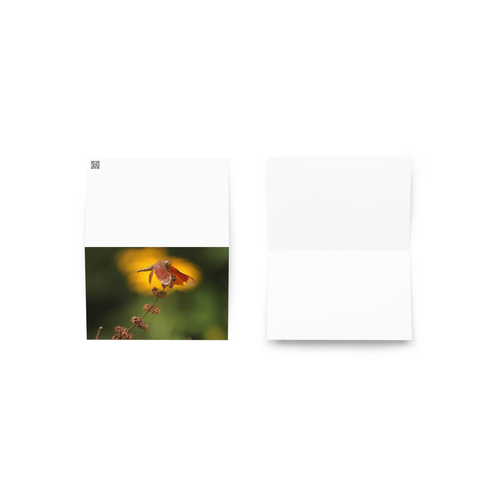 greeting-card-4x6-front-65c09f26410e2.jpg