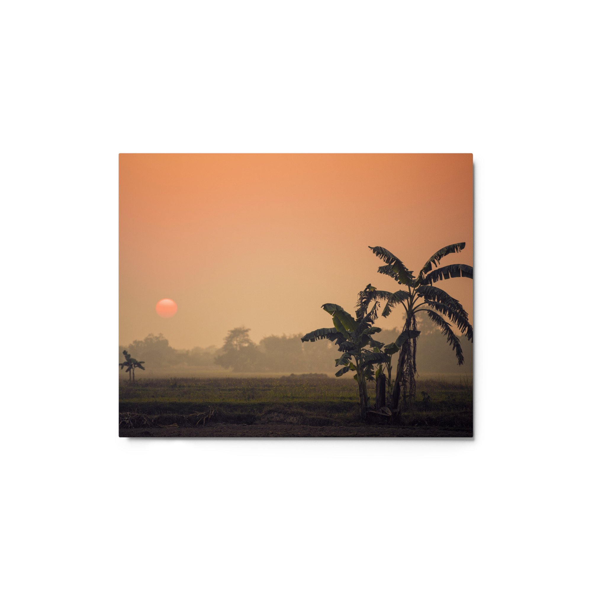 glossy-metal-print-(in)-white-8x10-front-65c0ab001eb59.jpg
