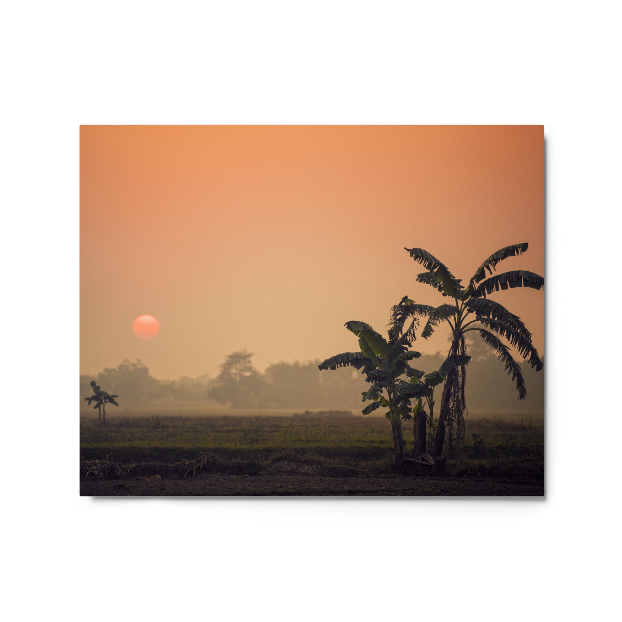 glossy-metal-print-(in)-white-16x20-front-65c0ab001f7eb.jpg