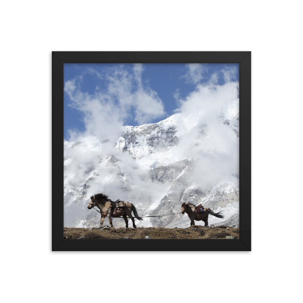 enhanced-matte-paper-framed-poster-(in)-black-12x12-transparent-65c0b9b2454f5.jpg