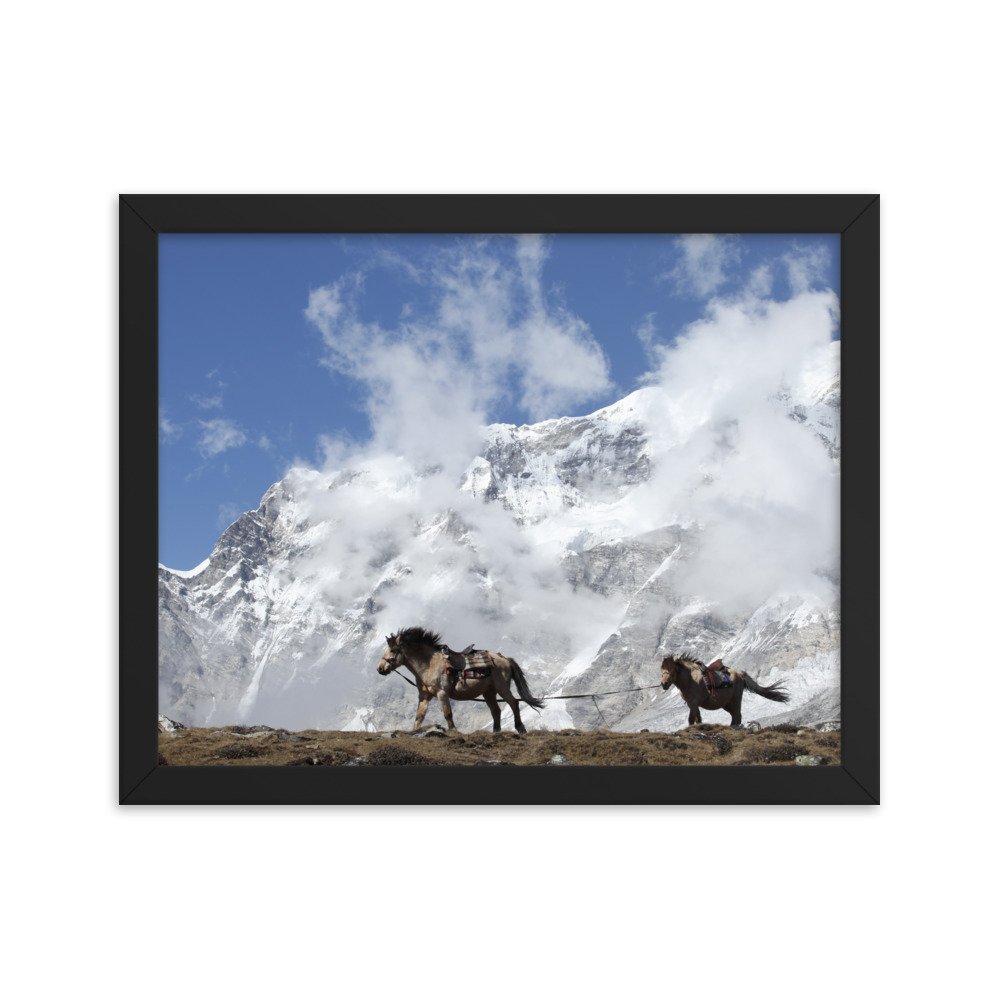 enhanced-matte-paper-framed-poster-(in)-black-11x14-transparent-65c0b9b2455a3.jpg