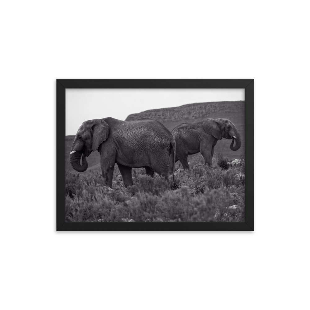 enhanced-matte-paper-framed-poster-(in)-black-12x16-transparent-65c0f2ef335d8.jpg