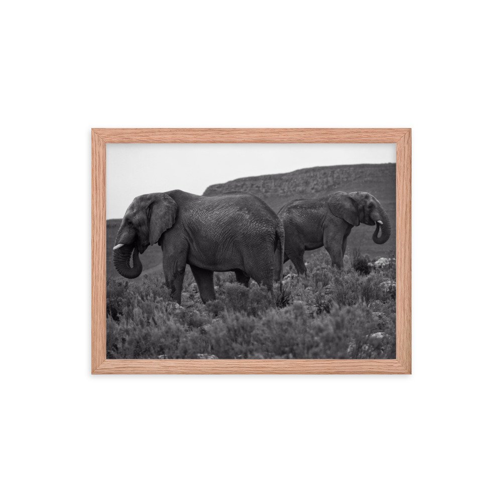 enhanced-matte-paper-framed-poster-(in)-red-oak-12x16-transparent-65c0f2ef33792.jpg