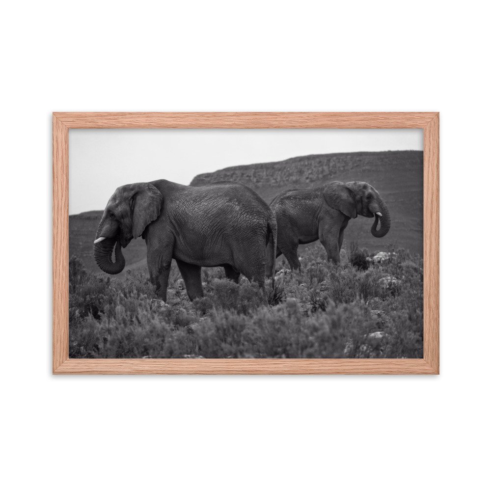 enhanced-matte-paper-framed-poster-(in)-red-oak-12x18-transparent-65c0f2ef337f8.jpg