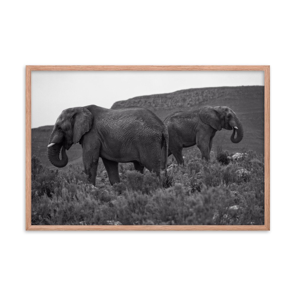 enhanced-matte-paper-framed-poster-(in)-red-oak-24x36-transparent-65c0f2ef3392b.jpg