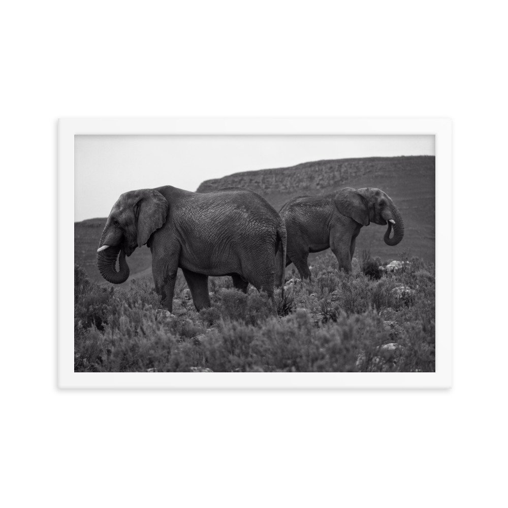 enhanced-matte-paper-framed-poster-(in)-white-12x18-transparent-65c0f2ef33a19.jpg