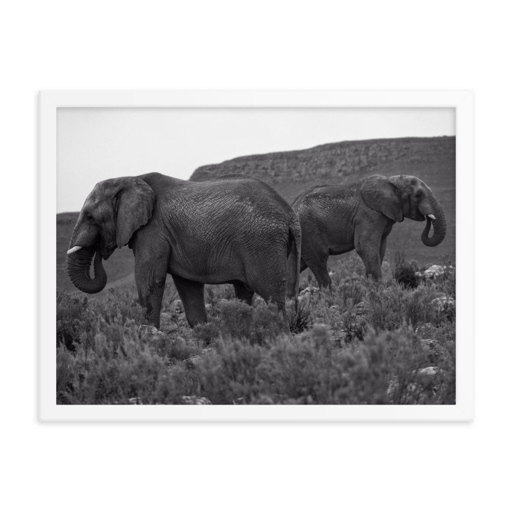 enhanced-matte-paper-framed-poster-(in)-white-18x24-transparent-65c0f2ef33aa4.jpg