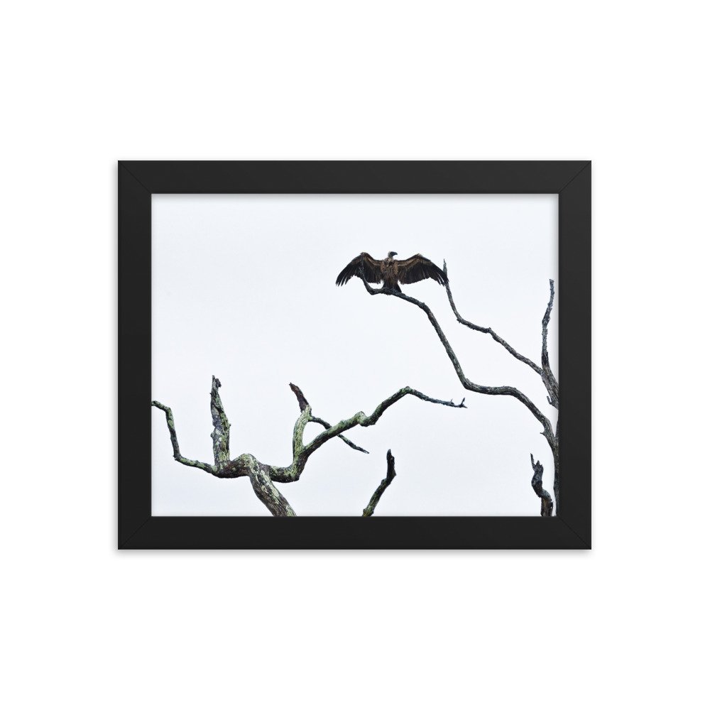 enhanced-matte-paper-framed-poster-(in)-black-8x10-transparent-65c0f2f0cc2cb.jpg
