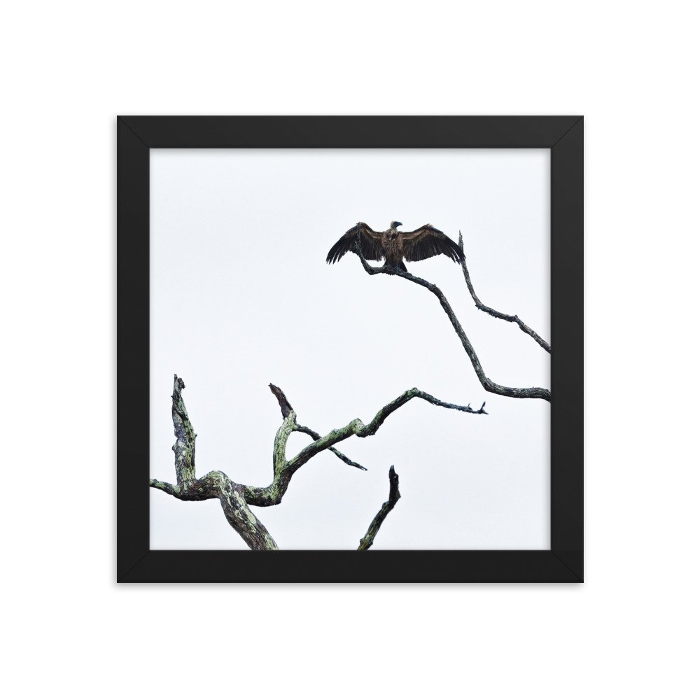 enhanced-matte-paper-framed-poster-(in)-black-10x10-transparent-65c0f2f0cc36b.jpg