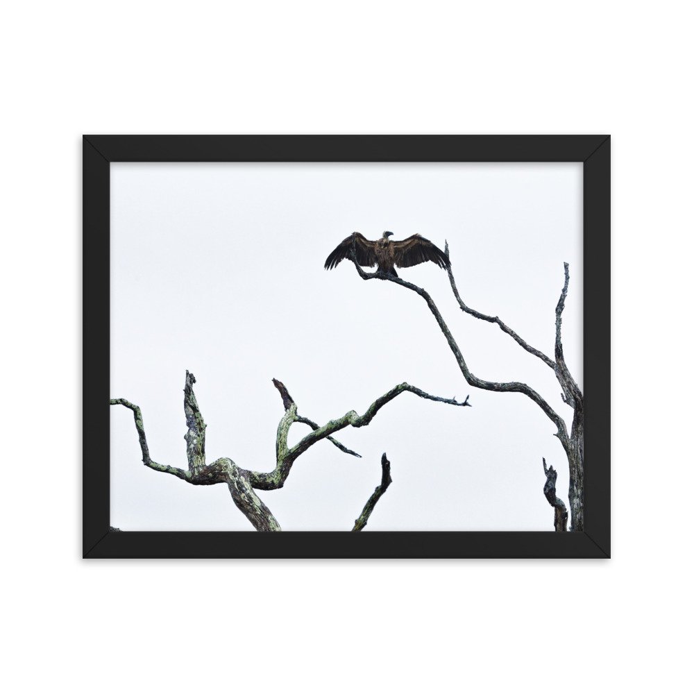 enhanced-matte-paper-framed-poster-(in)-black-11x14-transparent-65c0f2f0cc445.jpg