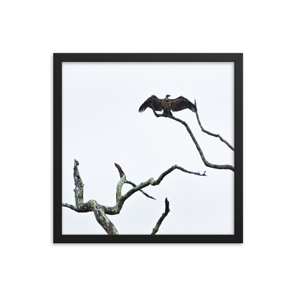 enhanced-matte-paper-framed-poster-(in)-black-16x16-transparent-65c0f2f0cc61a.jpg