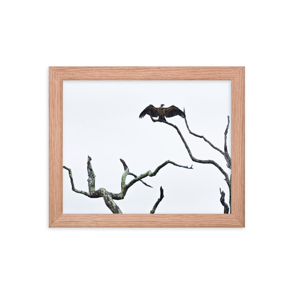 enhanced-matte-paper-framed-poster-(in)-red-oak-8x10-transparent-65c0f2f0cc896.jpg