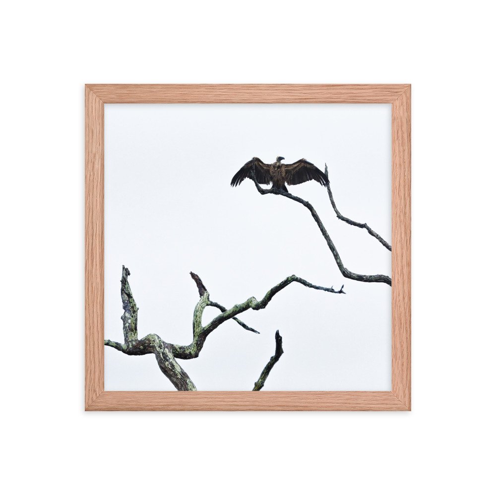 enhanced-matte-paper-framed-poster-(in)-red-oak-12x12-transparent-65c0f2f0cc962.jpg