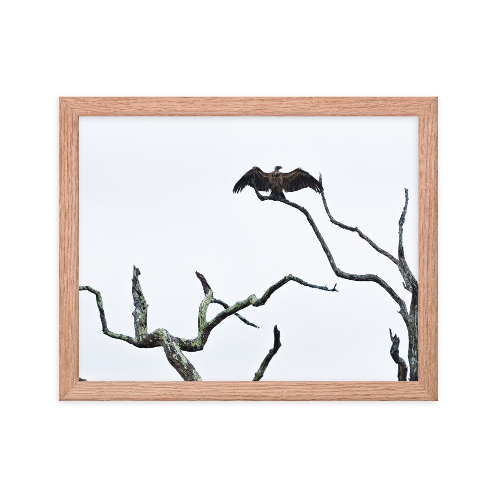 enhanced-matte-paper-framed-poster-(in)-red-oak-11x14-transparent-65c0f2f0cc9c7.jpg