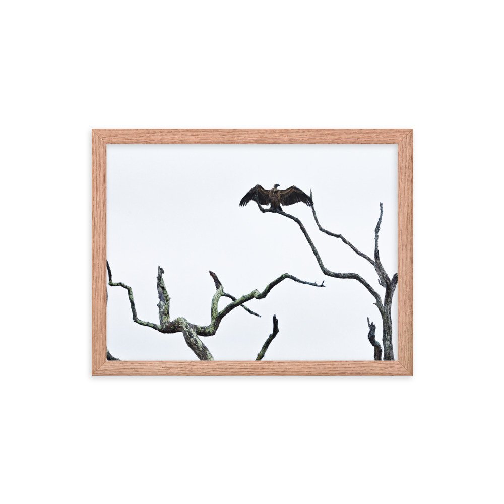 enhanced-matte-paper-framed-poster-(in)-red-oak-12x16-transparent-65c0f2f0cca2c.jpg