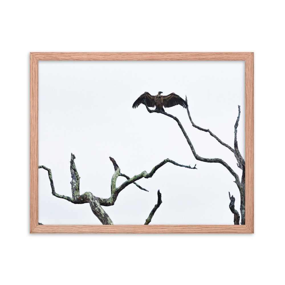 enhanced-matte-paper-framed-poster-(in)-red-oak-16x20-transparent-65c0f2f0ccbd4.jpg