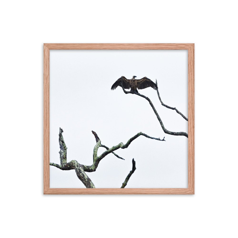 enhanced-matte-paper-framed-poster-(in)-red-oak-18x18-transparent-65c0f2f0ccc82.jpg