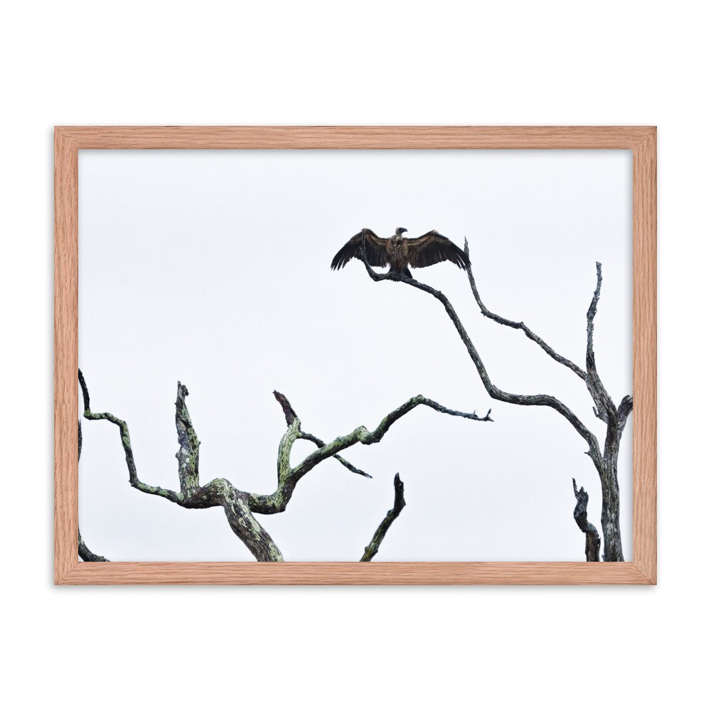 enhanced-matte-paper-framed-poster-(in)-red-oak-18x24-transparent-65c0f2f0ccd2b.jpg