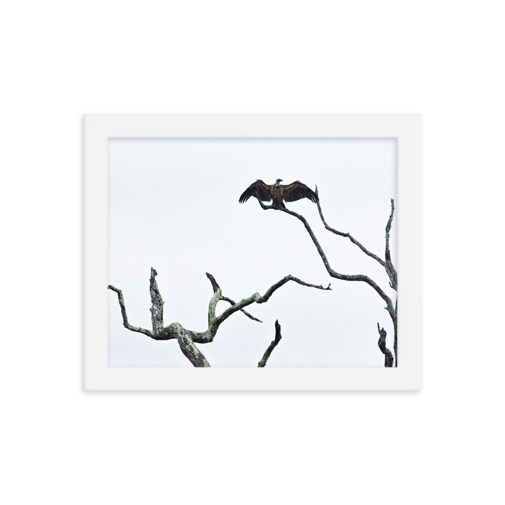 enhanced-matte-paper-framed-poster-(in)-white-8x10-transparent-65c0f2f0cce0b.jpg