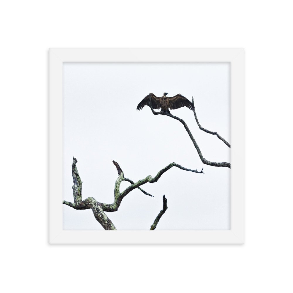 enhanced-matte-paper-framed-poster-(in)-white-10x10-transparent-65c0f2f0cce72.jpg