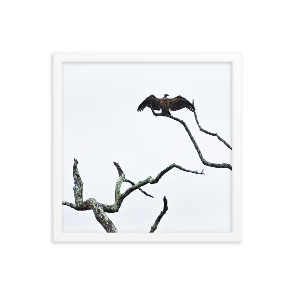 enhanced-matte-paper-framed-poster-(in)-white-14x14-transparent-65c0f2f0cd074.jpg