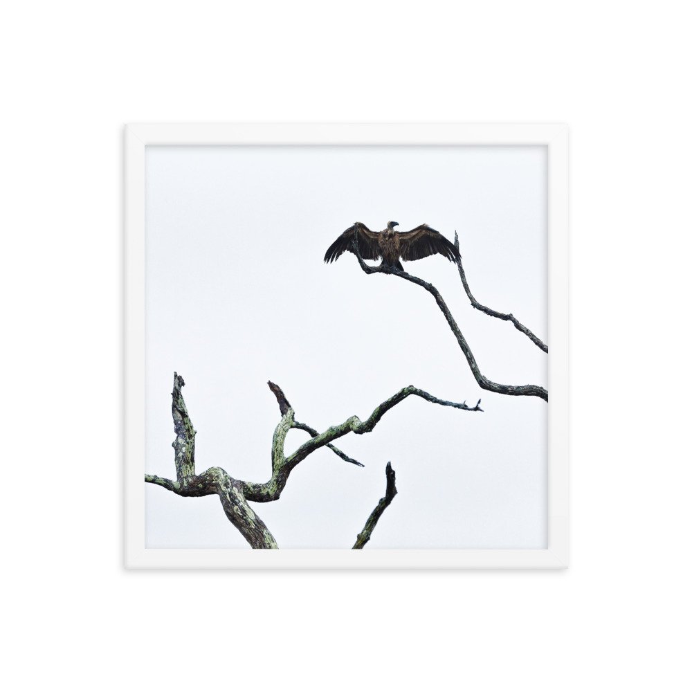 enhanced-matte-paper-framed-poster-(in)-white-16x16-transparent-65c0f2f0cd0d9.jpg