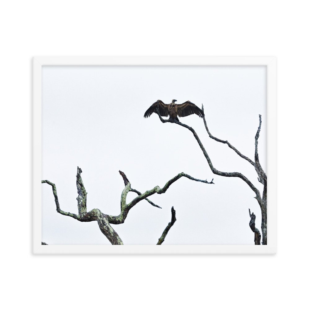enhanced-matte-paper-framed-poster-(in)-white-16x20-transparent-65c0f2f0cd13e.jpg