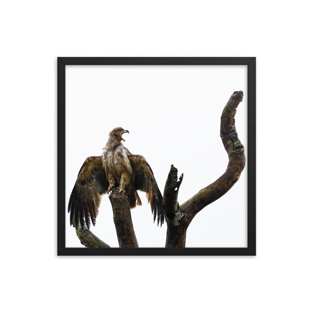 enhanced-matte-paper-framed-poster-(in)-black-18x18-transparent-65c0f31193b6e.jpg