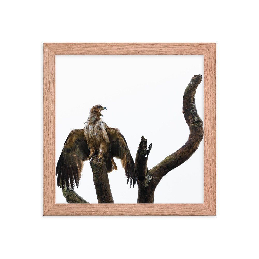 enhanced-matte-paper-framed-poster-(in)-red-oak-10x10-transparent-65c0f31193d15.jpg