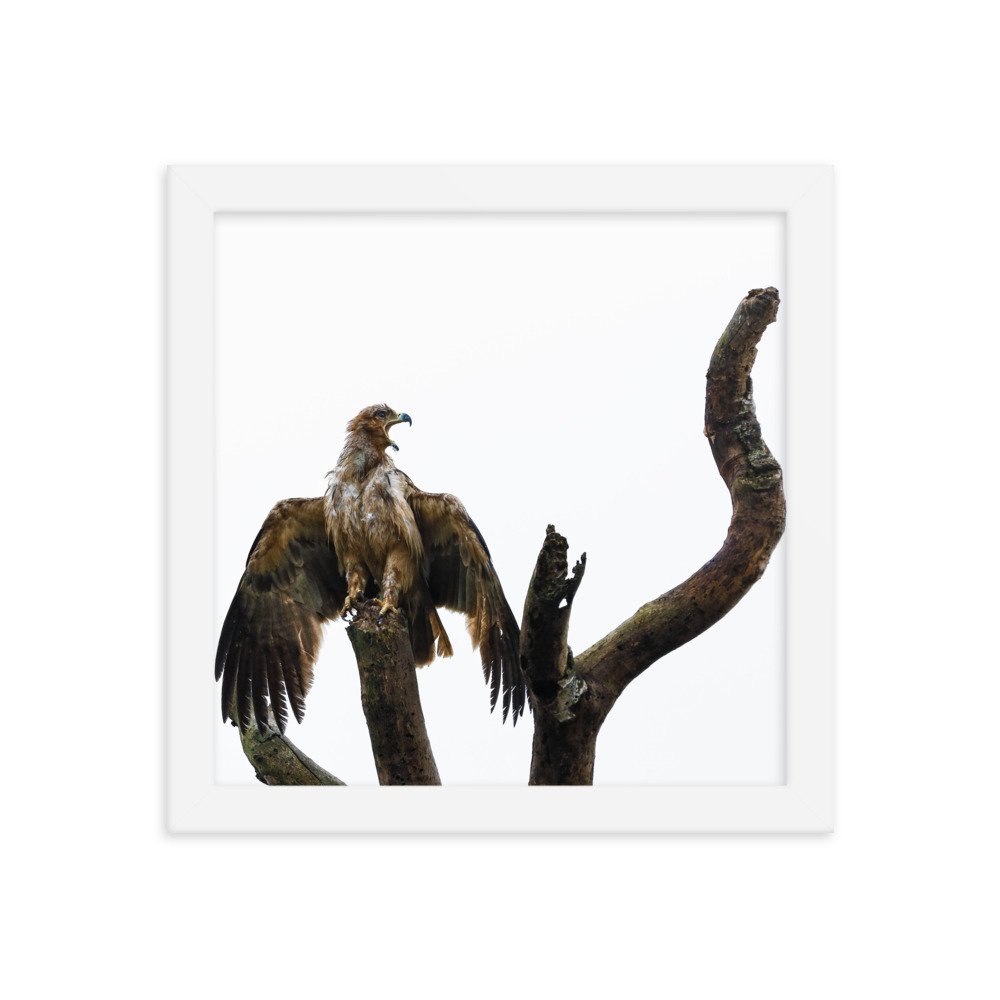 enhanced-matte-paper-framed-poster-(in)-white-10x10-transparent-65c0f31194283.jpg