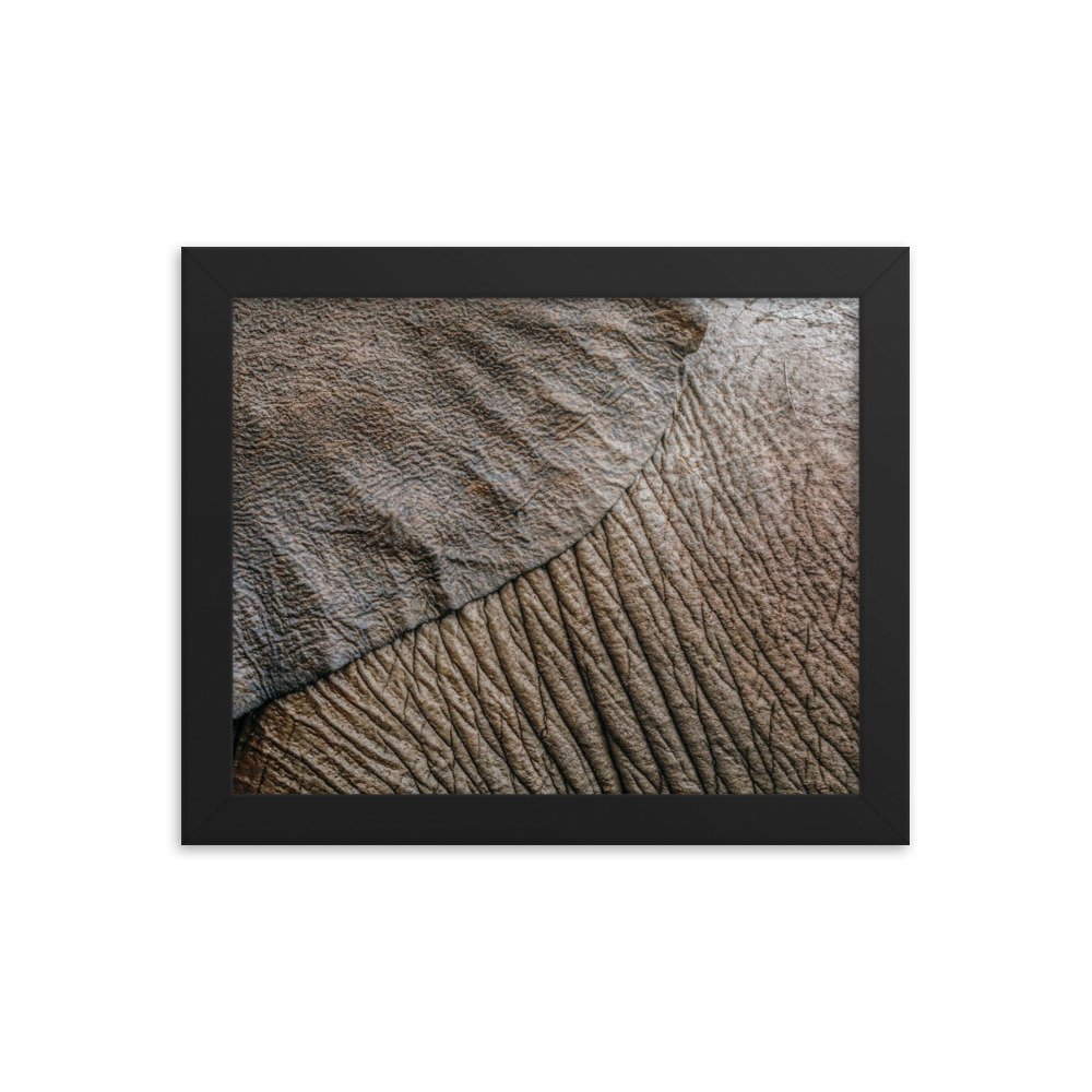 enhanced-matte-paper-framed-poster-(in)-black-8x10-transparent-65c0f361a0bf4.jpg