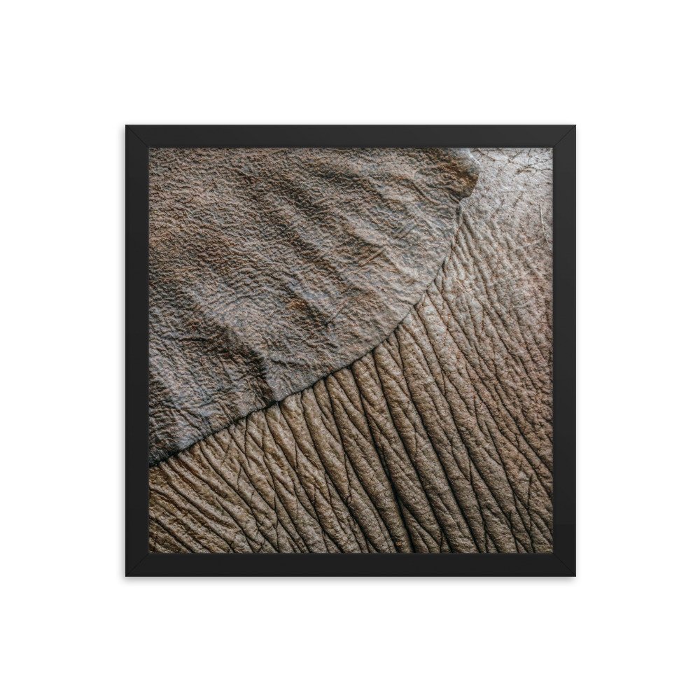 enhanced-matte-paper-framed-poster-(in)-black-14x14-transparent-65c0f361a0fec.jpg