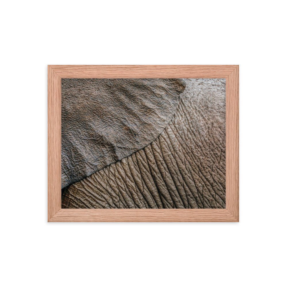 enhanced-matte-paper-framed-poster-(in)-red-oak-8x10-transparent-65c0f361a10a2.jpg