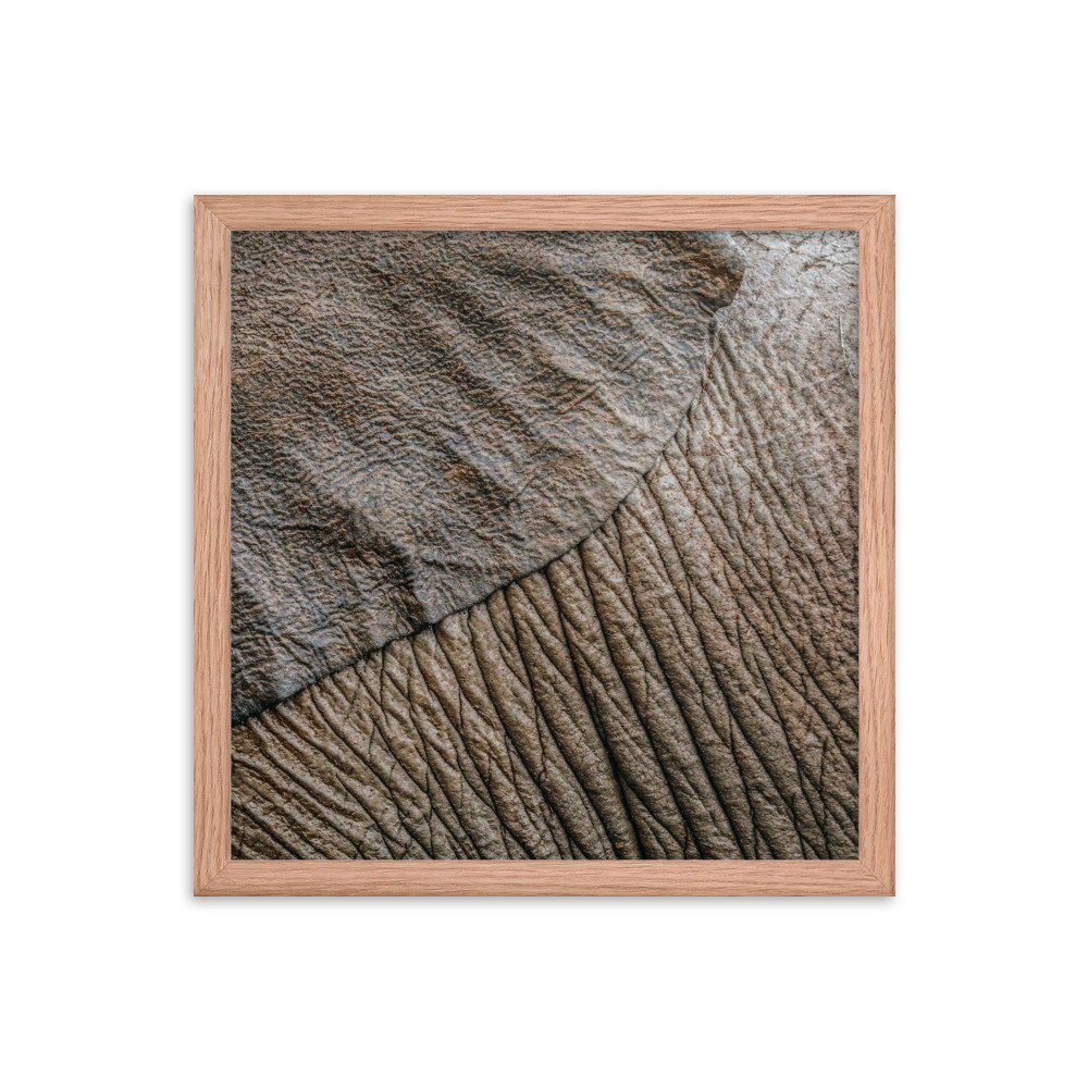 enhanced-matte-paper-framed-poster-(in)-red-oak-14x14-transparent-65c0f361a14b5.jpg
